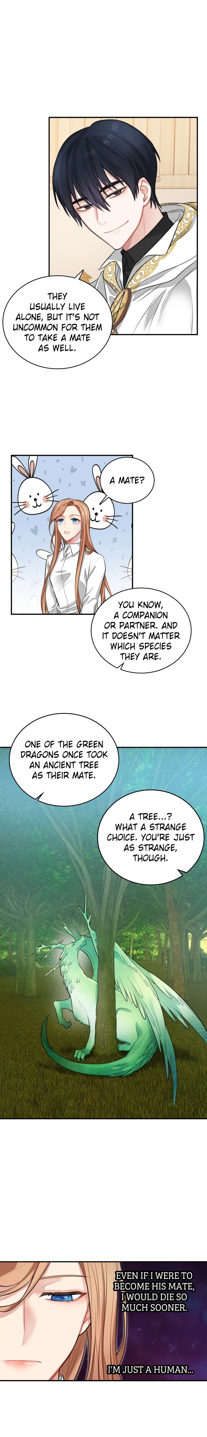 The Newlywed Diary of a Witch and a Dragon - Chapter 16 Page 19
